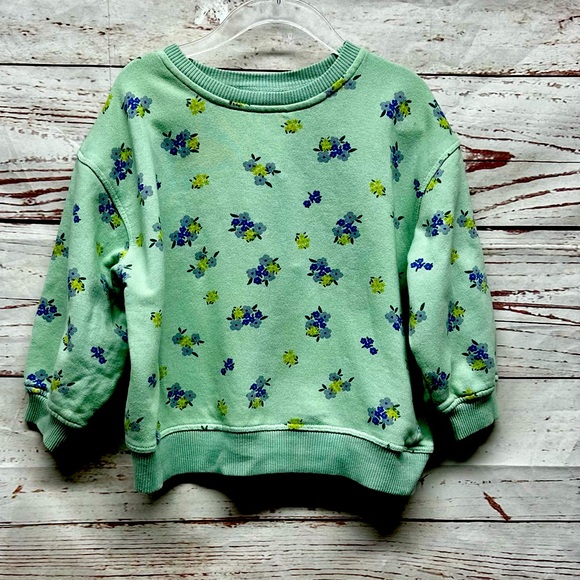 Zara Shirts & Tops Zara Mint Green Floral Print Sweatshirt Size 23